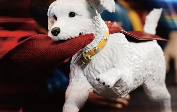 Krypto__scaled_600